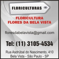 FLORICULTURA FLORES DA BELA VISTA